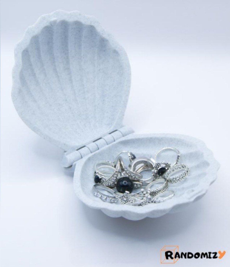 [BN3D-000922] Caja con forma de concha marina (Snap)