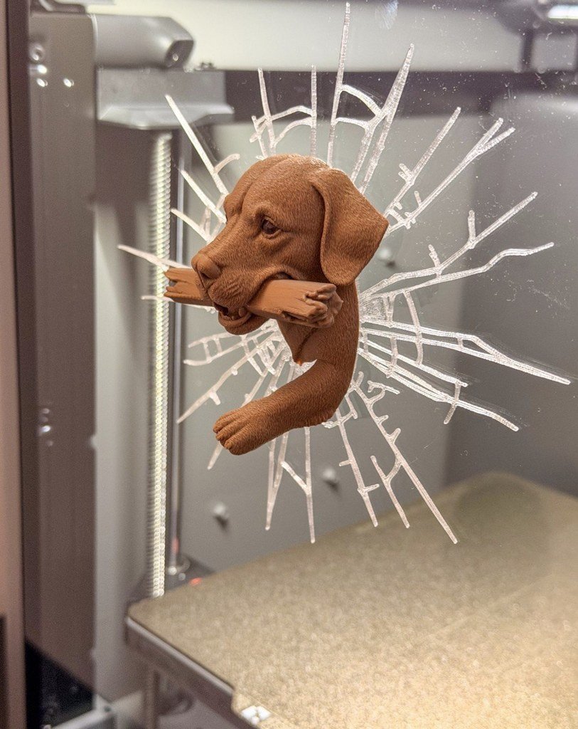 [BN3D-001605] Perro rompiendo el vidrio, un modelo AMS