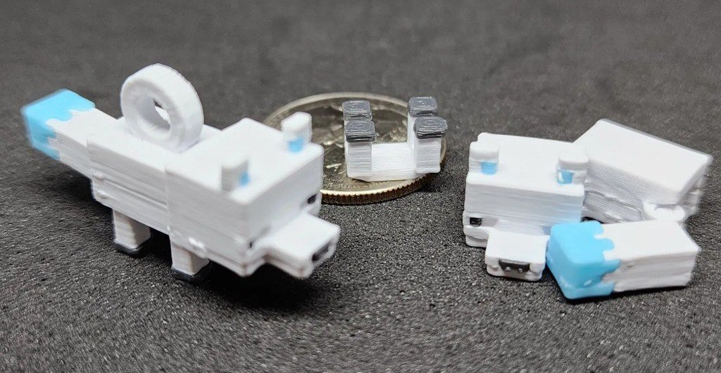 [BN3D-000031] Kit Card Fox