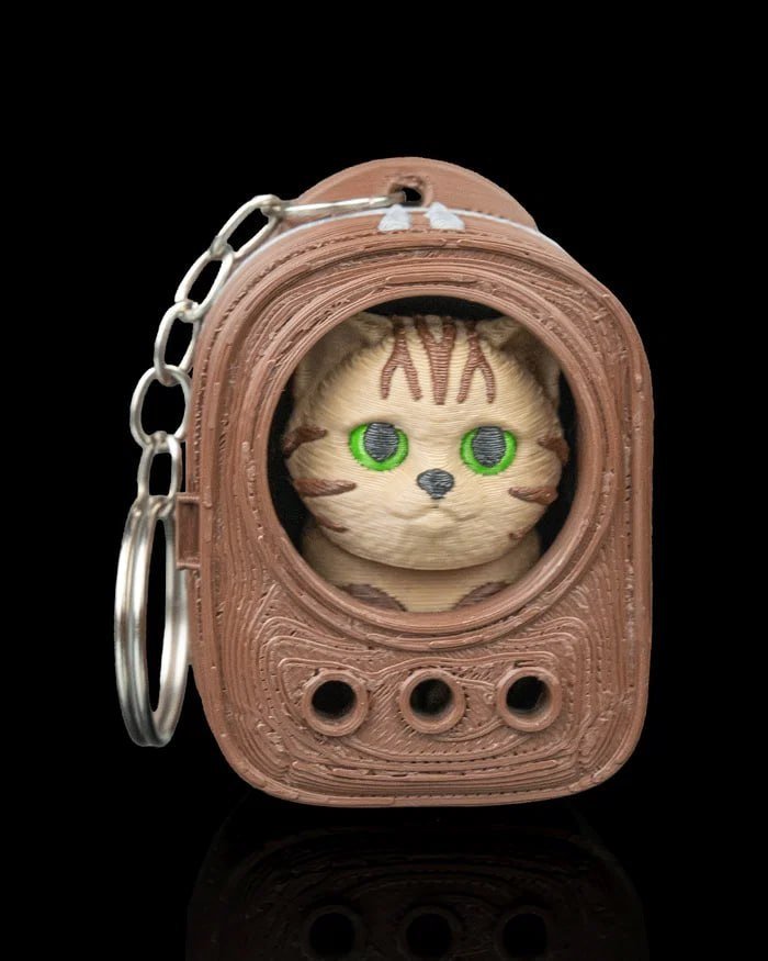 [BN3D-000236] Urban Pack Tabby