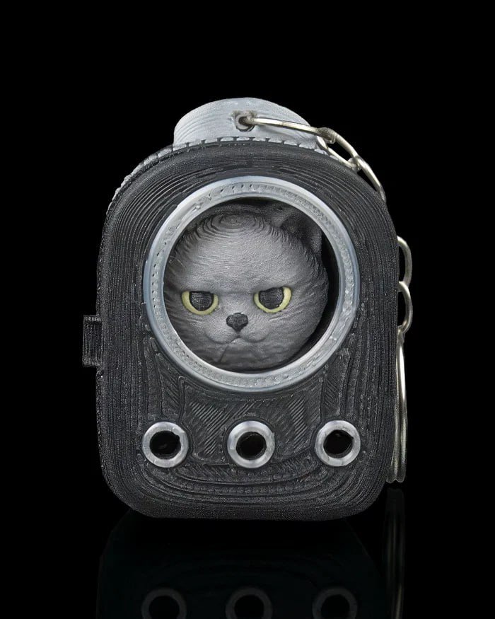 [BN3D-000238] Everyday Pack British Shorthair