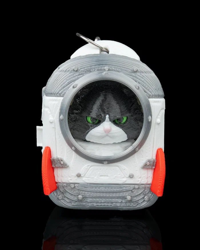 [BN3D-000240] Maine Coon