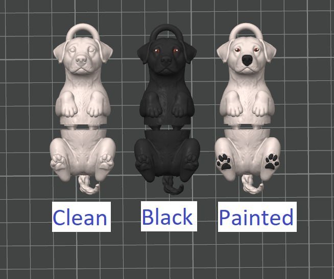 [BN3D-000294] Labrador