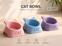 Bowl para gato