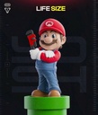 Super Mario Galaxy tamaño real