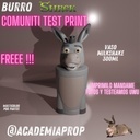 Vaso burro multicolor