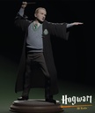 Draco Malfoy estatua pre soportada