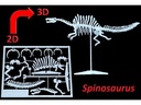 Kit Card Spinosaurus