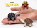 Mini Turtles