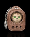 Urban Pack Tabby