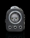 Everyday Pack British Shorthair