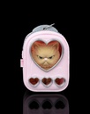 Sweetheart Persian Cat