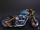 Harley Davidson custom