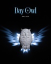 Luz de pared Day Owl