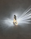 Luz de pared Pegasus